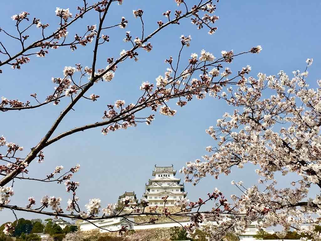 himeji-travelandcoconut