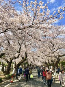 yanaka-cimetiere-travelandoconut