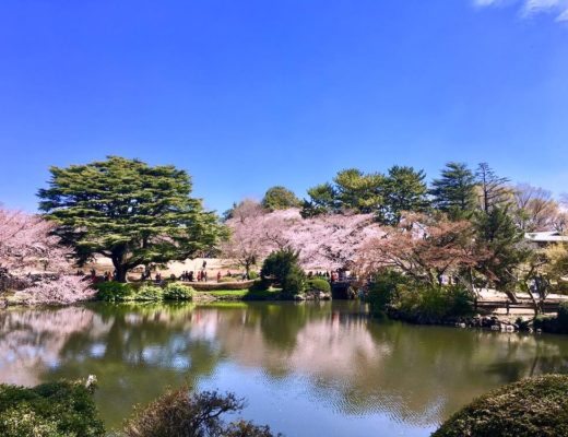 gyoen-garden-tokyo-travelandcoconut