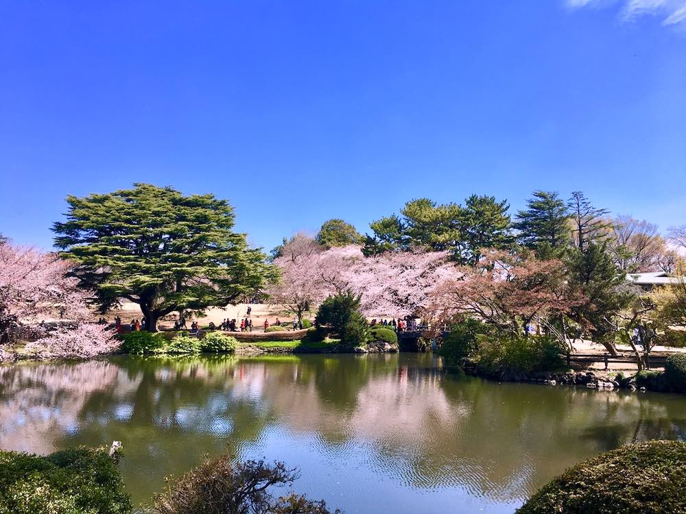 gyoen-garden-tokyo-travelandcoconut