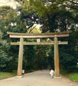 shinjuku-gyoen-travelandcoconut